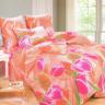 Постельное белье Сайлид Сайлид Дуэт КПБ А131 купить в интернет-магазине marketsnov.ru