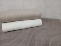 Покрывало махровое 200*230 арт.2210630