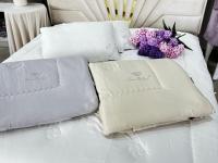 Одеяло всесезонное Селена Микрогель Love Behind 200*230