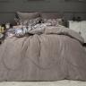 Постельное белье Вайнона (капучино) АВС Egypt Cotton к-т ДУЭТ Kazanov.A купить в интернет-магазине marketsnov.ru