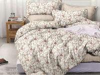 ПР-621 КПБ Райтекс Поплин Евро (100%хлопок) 200*220 НА МОЛНИИ