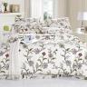 Постельное белье Сайлид Сайлид Дуэт КПБ А170 купить в интернет-магазине marketsnov.ru