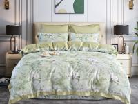 Сайлид Премиум-сатин евро КПБ Т57