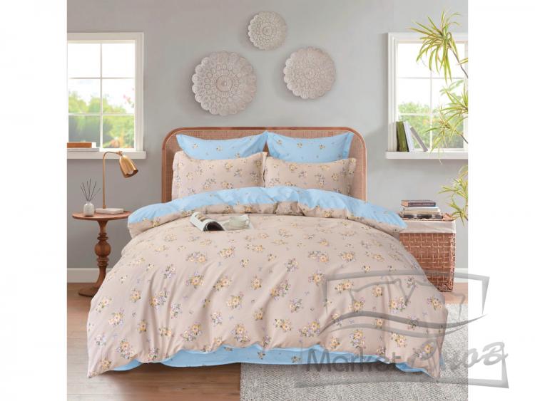 Сайлид евро КПБ В256