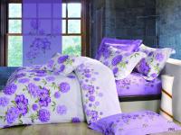 ПР-050 КПБ Райтекс Поплин Дуэт (100%хлопок) 150*210(2) МОЛНИЯ