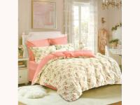 Сайлид Дуэт КПБ В246