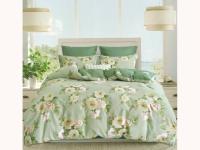 Сайлид Дуэт КПБ В248