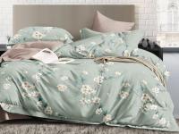 ПР-627 КПБ Райтекс Поплин Евро (100%хлопок) 200*220 НА МОЛНИИ